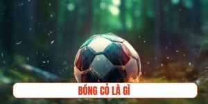 bóng cỏ là gì