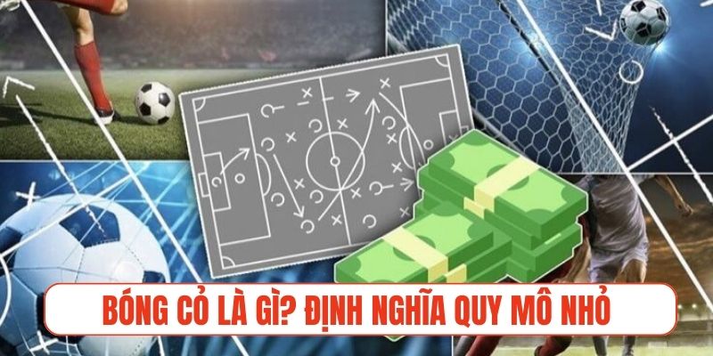 Bóng cỏ là gì? Định nghĩa chi tiết về các trận quy mô nhỏ