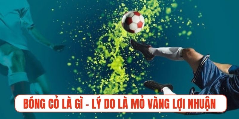 Bóng cỏ là gì - lý do khiến kèo bóng cỏ là mỏ vàng lợi nhuận