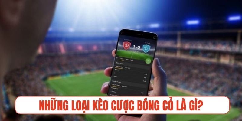 Những loại kèo cược phổ biến trong bóng cỏ là gì?