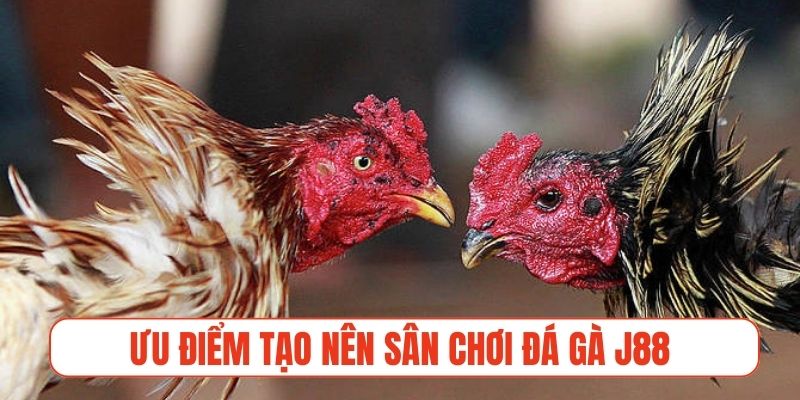 Ưu điểm tạo nên sân chơi đá gà J88 uy tín trên thị trường